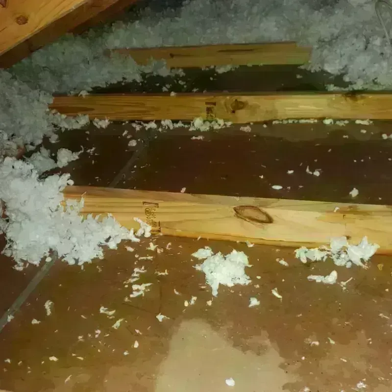 Attic Water Damage in Clay County, AR