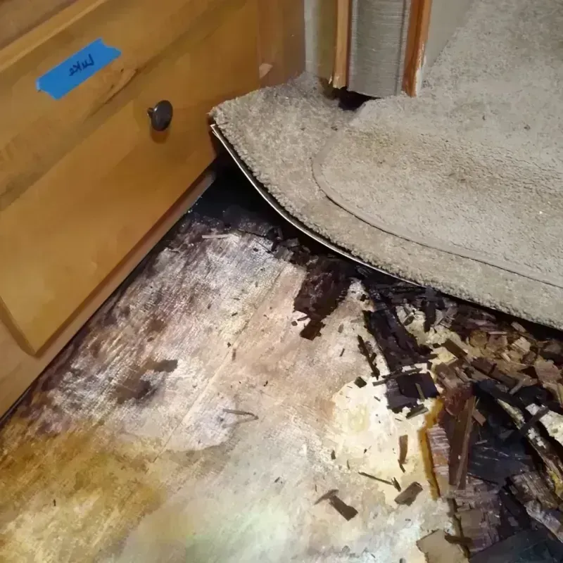 Wood Floor Water Damage in Clay County, AR